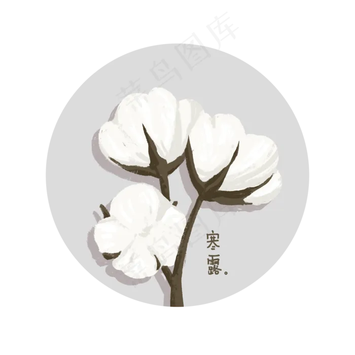 寒露白色棉花(2000X2000(DPI:300))psd模版下载