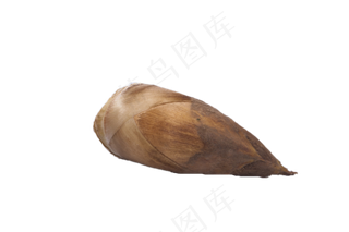 爽脆春笋新鲜蔬菜