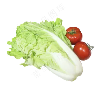 大白菜西红柿蔬菜组合 大白菜西红柿蔬菜组合