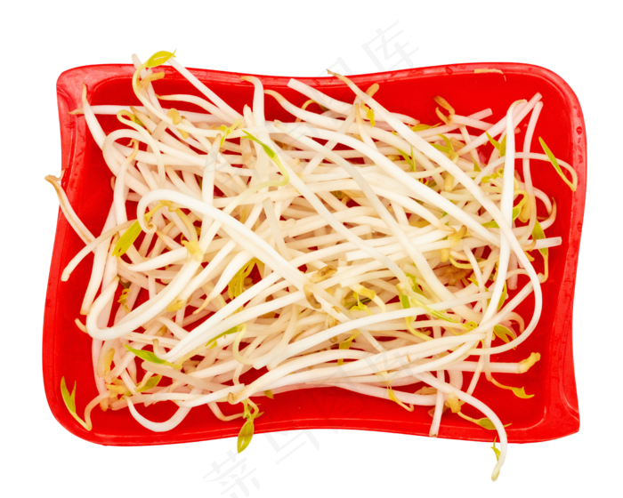 一盘绿豆芽(2048X2048(DPI:300))