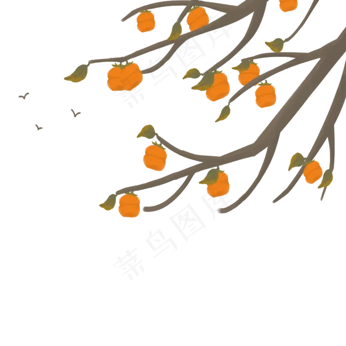 秋季秋天秋收柿子果实(2000X2000(DPI:300))psd模版下载