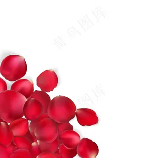 情人节贺卡-红玫瑰花瓣。