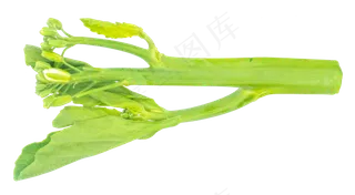 菠菜根绿色蔬菜