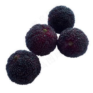 夏季新鲜水果杨梅