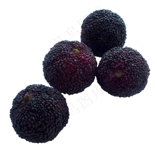 夏季新鲜水果杨梅