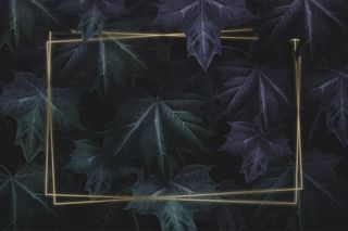 手绘紫绿色枫叶图案背景矩形金框