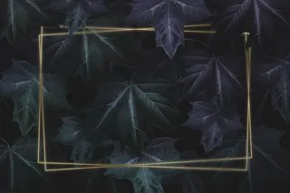 手绘紫绿色枫叶图案背景矩形金框