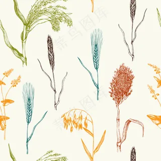 手绘谷类作物图案。手绘农业植物背景