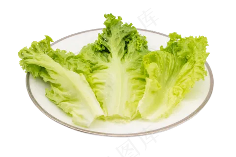 扒开有机蔬菜 扒开有机蔬菜