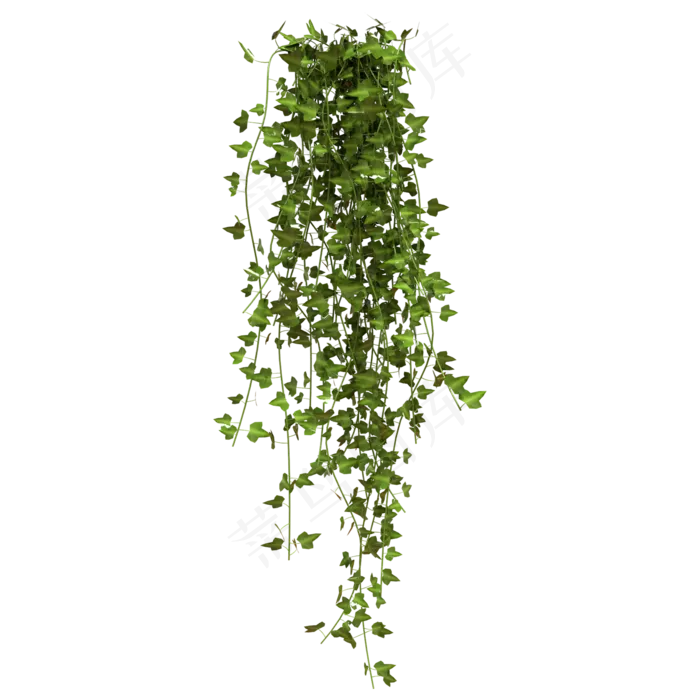 绿色藤曼植物(2000X2000(DPI:300))psd模版下载