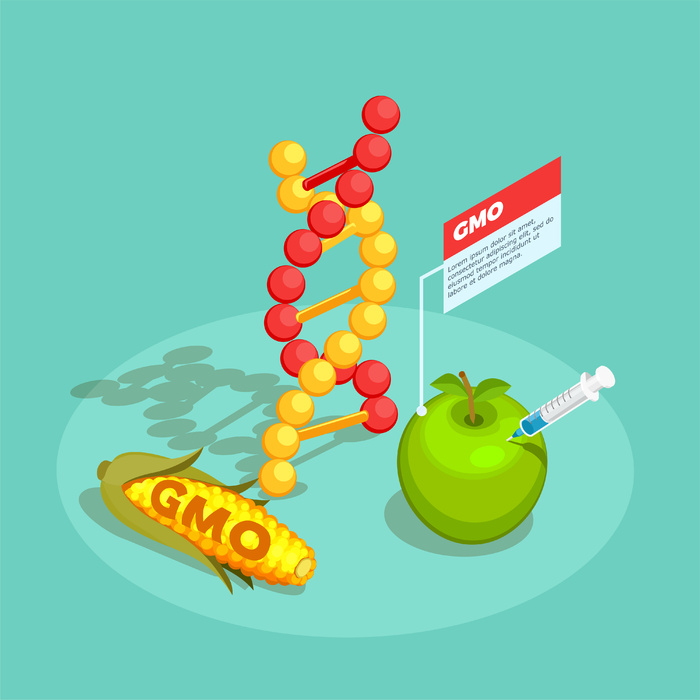 绿松石背景下的转基因食品等距成分与 dna 分子、转基因玉米和苹果图解