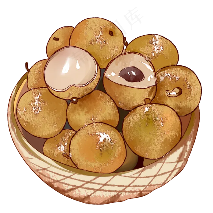 龙眼水彩(2000X2000(DPI:299))psd模版下载