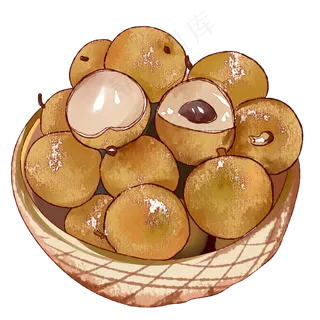 龙眼水彩 龙眼水彩