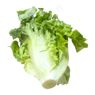 绿色蔬菜 绿色蔬菜