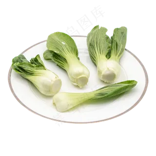 新鲜蔬菜油菜 新鲜蔬菜油菜