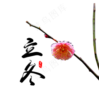 二十四节气立冬