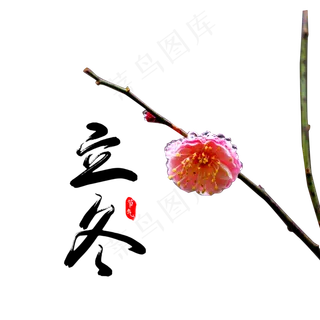 二十四节气立冬