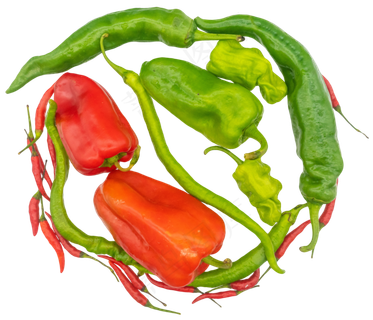 辣椒菜椒蔬菜合集
