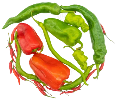 辣椒菜椒蔬菜合集 辣椒菜椒蔬菜合集