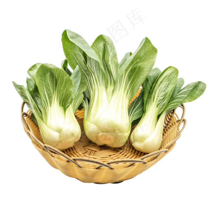 油菜绿色蔬菜(2000X2000(DPI:300))