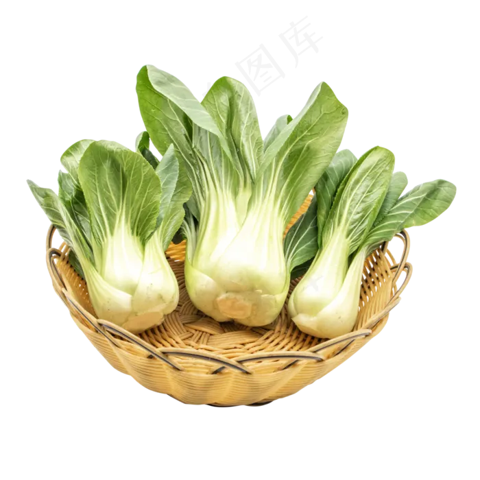 油菜绿色蔬菜(2000X2000(DPI:300))