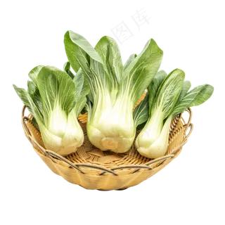 油菜绿色蔬菜 油菜绿色蔬菜