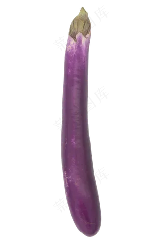 紫色蔬菜长茄子