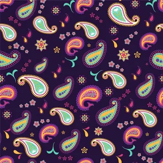 美丽的佩斯利图案与丰富多彩的元素