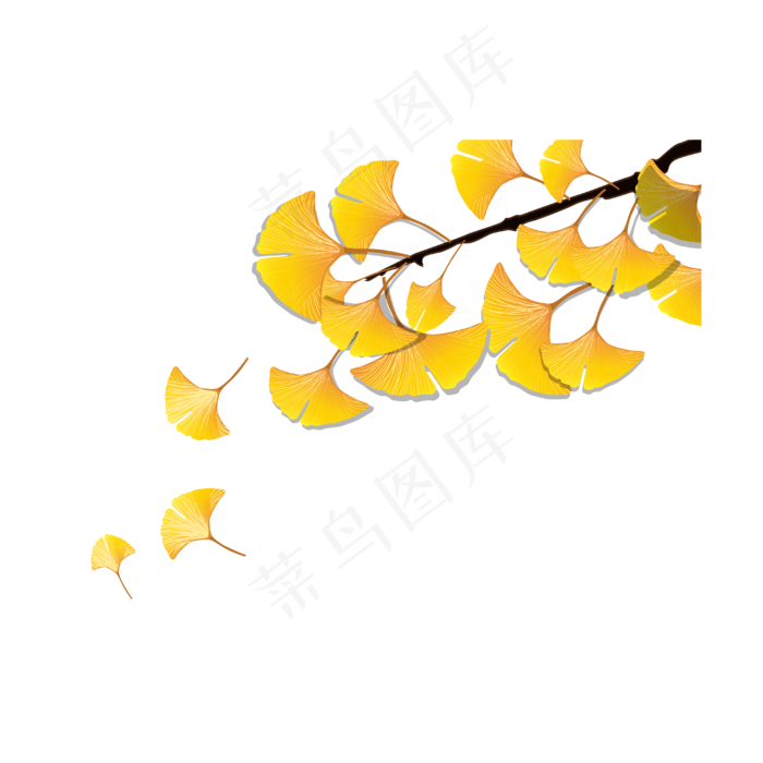 矢量秋天飘落的银杏叶(4000*4000px 300 dpi )ai矢量模版下载