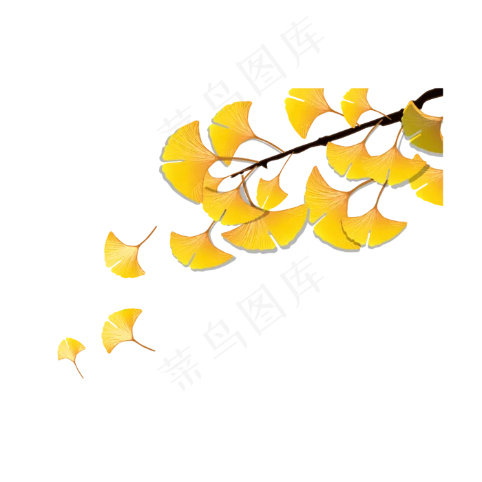 矢量秋天飘落的银杏叶(4000*4000px 300 dpi )ai矢量模版下载