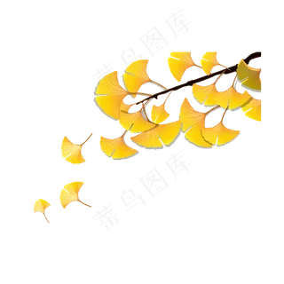 矢量秋天飘落的银杏叶
