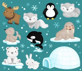 北极动物矢量集