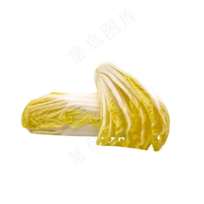 大白菜食材蔬菜(2000X2000(DPI:300))