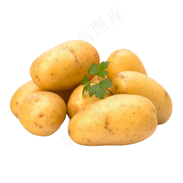 土豆 蔬菜psd模版下载
