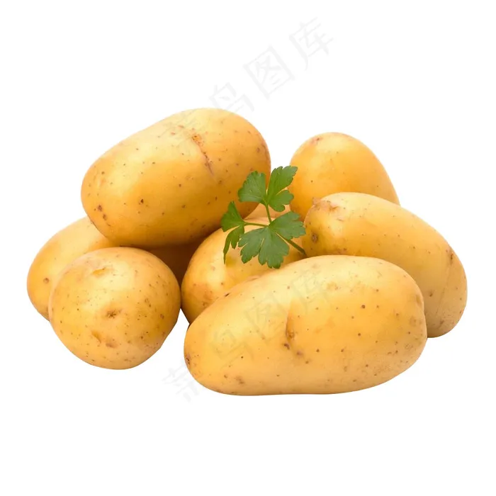 土豆 蔬菜psd模版下载