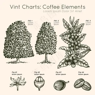 葡萄酒图表咖啡元素树手绘