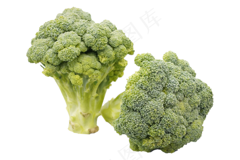 餐饮蔬菜西兰花