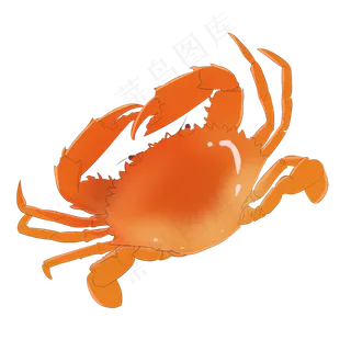 白露手绘美味海鲜大闸蟹一只 白露手绘美味海鲜大闸蟹一只