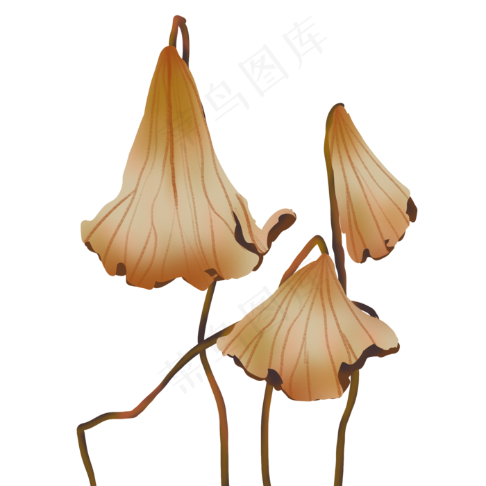 寒露枯荷凄美(2000X2000(DPI:300))psd模版下载