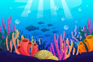 海底-视频会议的背景