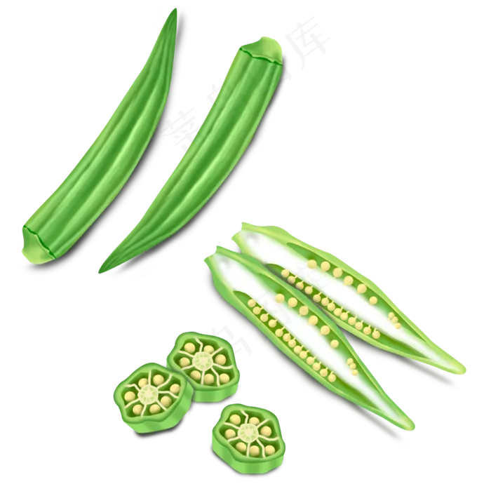 手绘秋葵绿色蔬菜(2000X2000(DPI:300))psd模版下载