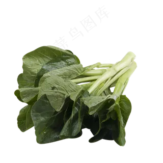 绿色油菜食物 绿色油菜食物