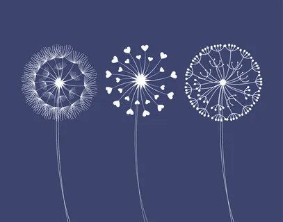 蒲公英与种子矢量图 蒲公英与种子矢量图