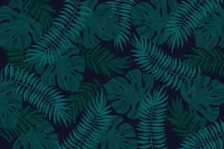 真实的深色热带树叶背景