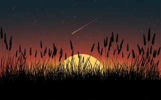 日落背景与高草剪影