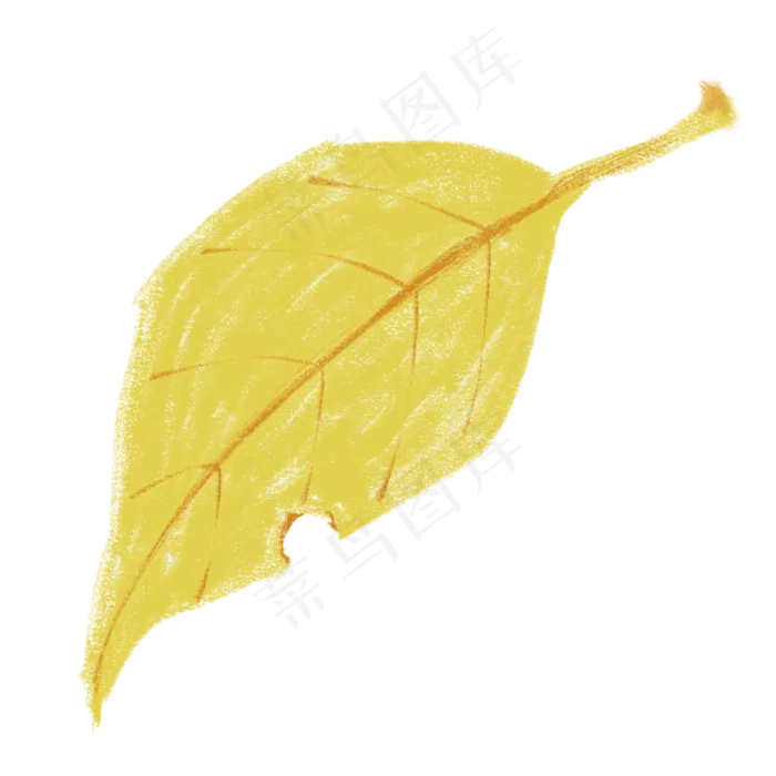 秋天的树叶(2000X2000(DPI:350))psd模版下载