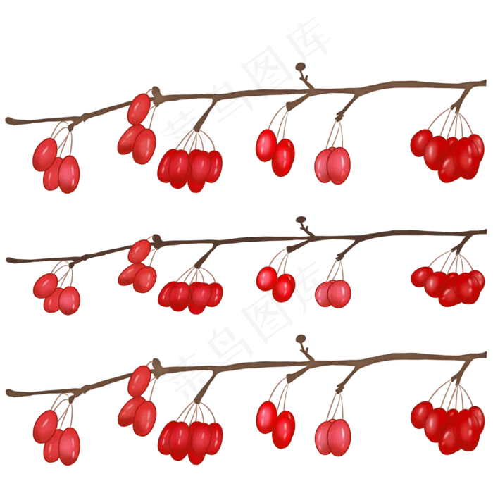 重阳茱萸手绘PNG素材(2000X2000(DPI:299))psd模版下载