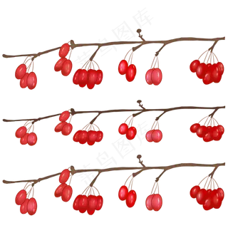 重阳茱萸手绘PNG素材