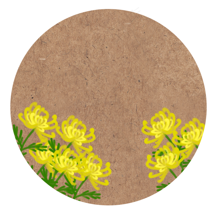 重阳节中国风花卉古风复古菊花