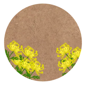 重阳节中国风花卉古风复古菊花